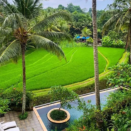 Umasari Rice Terrace Villa By Agata