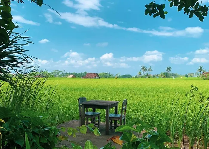 Umasari Rice Terrace By Agata Tabanan (Bali)