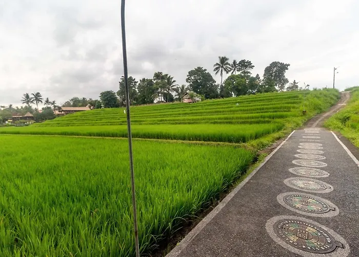 Villa Umasari Rice Terrace By Agata Tabanan (Bali)