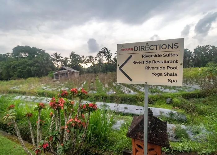 Umasari Rice Terrace By Agata Tabanan (Bali)
