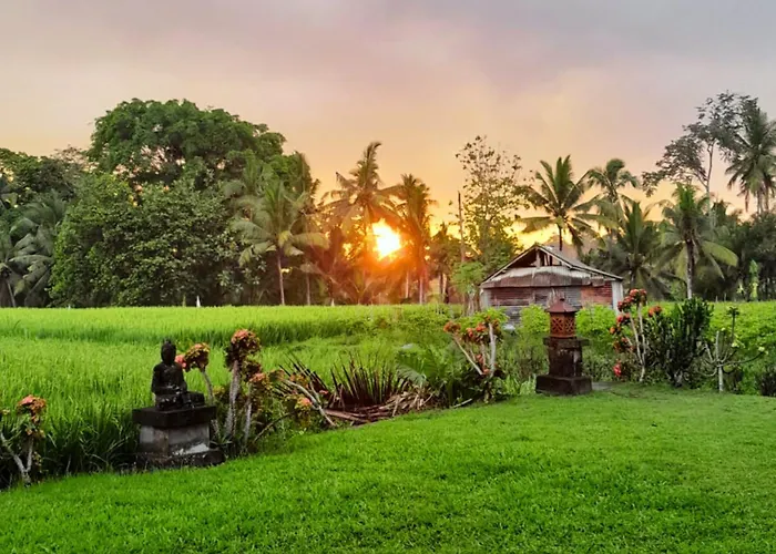 Villa Umasari Rice Terrace By Agata Tabanan (Bali)